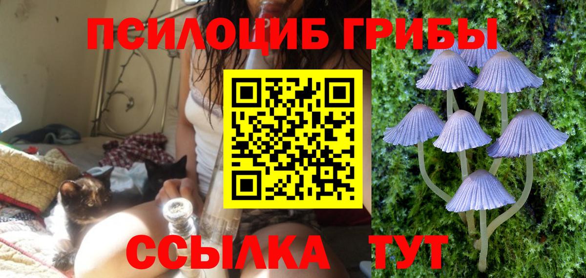 Галлюциногенные грибы ЛСД  Галлюциногенные грибы Cubensis  купить наркотики сайты  Вход с VPN  Бахчисарай 