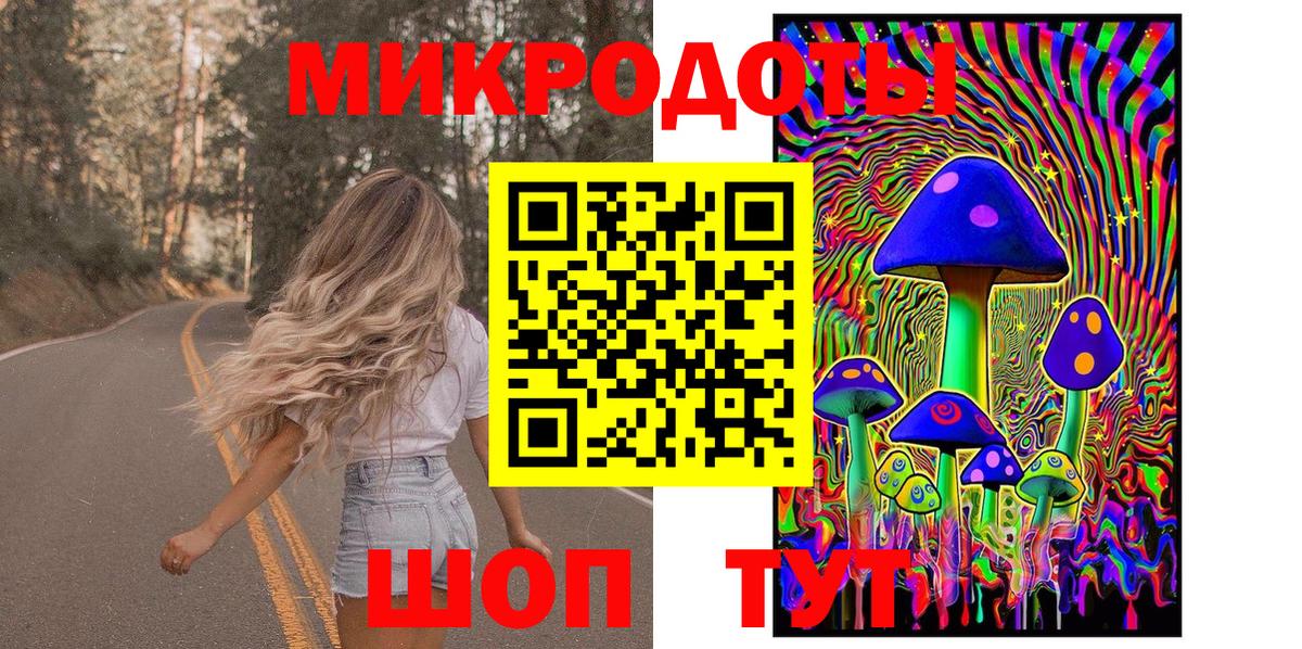 Псилоцибиновые грибы Psilocybe Бахчисарай